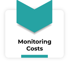 Monitoring Costs